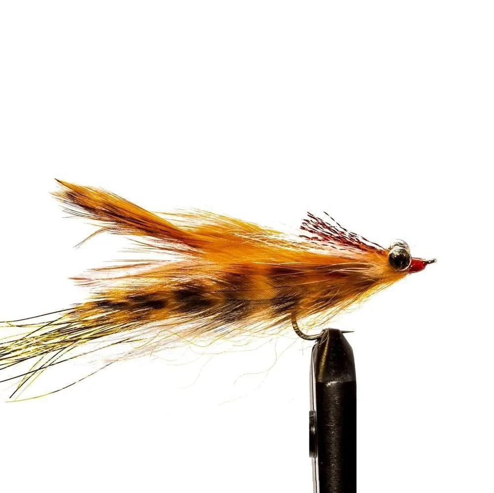 Jackson Hole Fly Company Loaded Foam Fly Box - Sea Trout